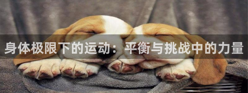 蚂蚁体育买的是正品吗：身体极限下的运动：平衡与挑战中的力量