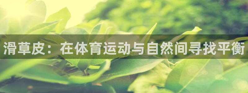 蚂蚁体育怎么样：滑草皮：在体育运动与自然间寻找平衡