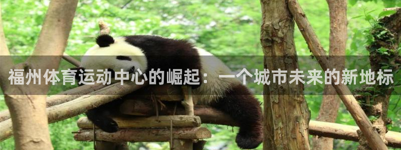 蚂蚁体育九球直播：福州体育运动中心的崛起：一个城市未来的新地标