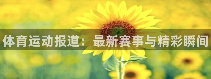 蚂蚁体育能看吗：体育运动报道：最新赛事与精彩瞬间