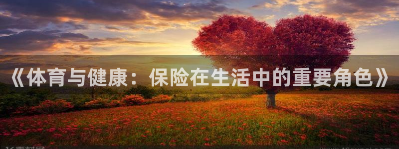 蚂蚁体育怎么样：《体育与健康：保险在生活中的重要角色》