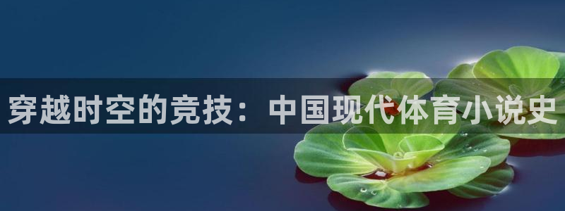 蚂蚁体育是正品吗：穿越时空的竞技：中国现代体育小说史