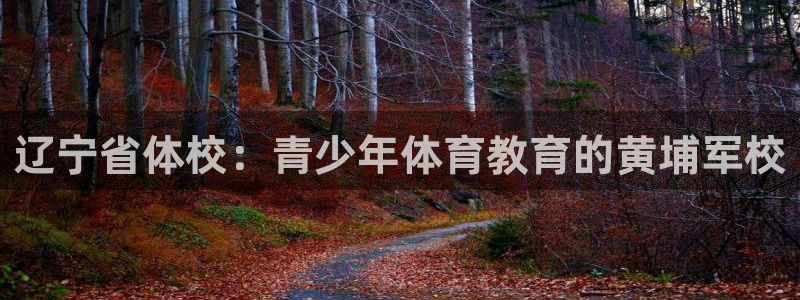 蚂蚁体育能看吗：辽宁省体校：青少年体育教育的黄埔军校