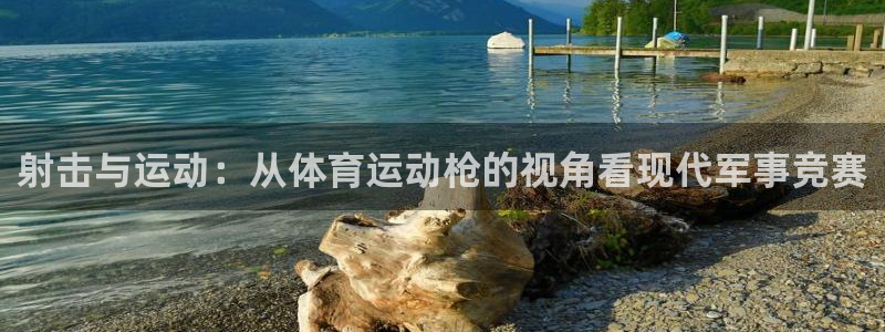 蚂蚁体育苹果版下载：射击与运动：从体育运动枪的视角看现代军事竞赛