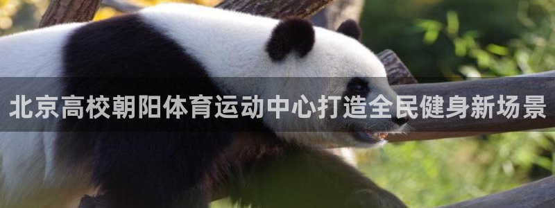 蚂蚁体育nba在线观看：北京高校朝阳体育运动中心打造全民健身新场景