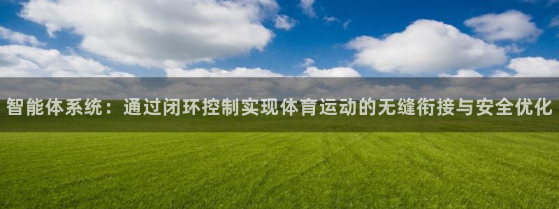蚂蚁体育：智能体系统：通过闭环控制实现体育运动的无缝衔接与安全优化