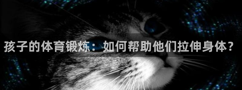 蚂蚁体育在线观看：孩子的体育锻炼：如何帮助他们拉伸身体？