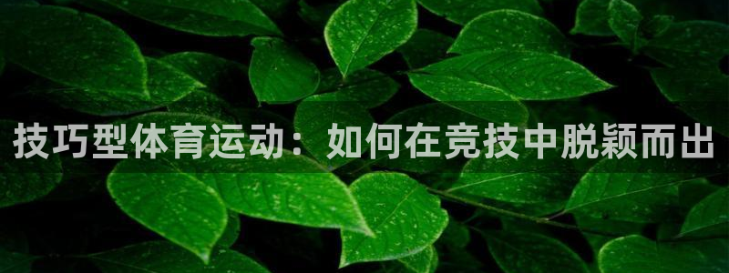 关键词：技巧型体育运动：如何在竞技中脱颖而出