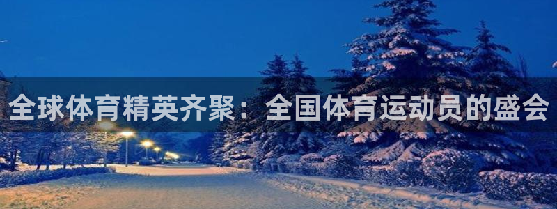 蚂蚁体育看球下载最新版本安装：全球体育精英齐聚：全国体育运动员的盛会