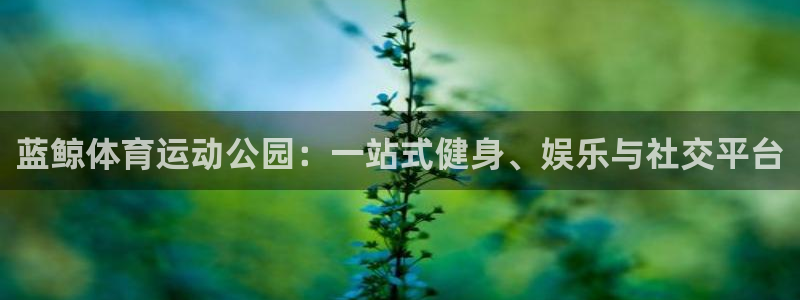 蚂蚁体育篮球：蓝鲸体育运动公园：一站式健身、娱乐与社交平台