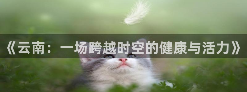 蚂蚁体育要付费观看吗?：《云南：一场跨越时空的健康与活力》